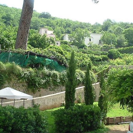Pietra Rosa Bed and Breakfast Tramonti Eksteriør billede