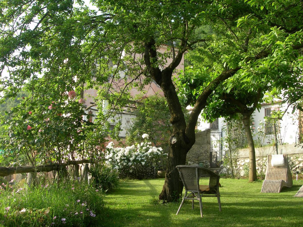 Pietra Rosa Bed and Breakfast Tramonti Eksteriør billede