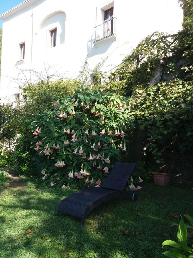 Pietra Rosa Bed and Breakfast Tramonti Eksteriør billede
